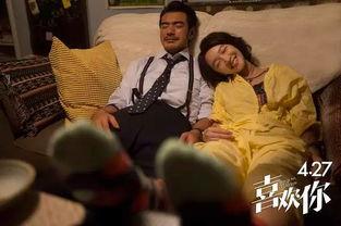 国产黄大片,揭秘中国电影市场的独特魅力